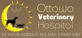 Ottawa Vet